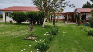 Eustaquia Farm Stay in Quetzaltenango - 4