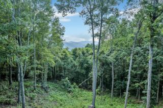 Mountain Views - Firepit - Gas Fireplace - Sleeps 15 - 9