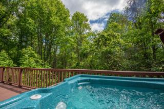 HappiNest- Hot Tub, Fire Pit, Mountain Views - 9