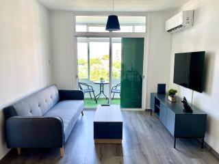 Fully Equipped One Bedroom APT - 4