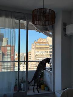 Casa Canela, meters from Bv Oroño - 7