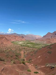 Vindecaf Alquileres Cafayate - 9