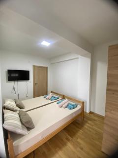 PETROVSKI Apartment - 1