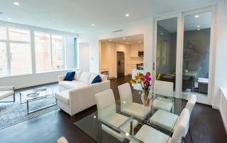 Unique contemporary 1600ft2 2BR 3BA apt OTR - 8
