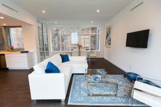 Unique contemporary 1600ft2 2BR 3BA apt OTR - 3