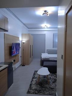 Lester's Luxe Studio Apartment - 4