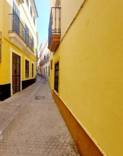 ESTUDIO MORGADO.Tranquilidad. Calle Amor de Dios! - 1