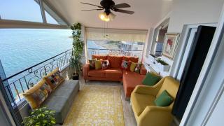 My White Seagull - 5