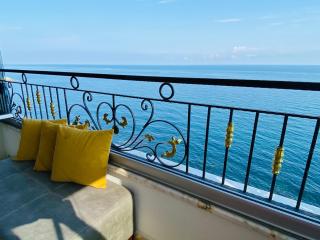 My White Seagull - 2