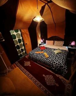 fayou desert camp - 4