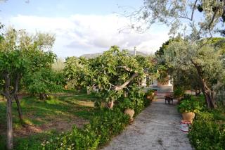 Il Giardino sul Mare - 2