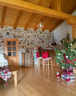 Villa Prevedena - 8
