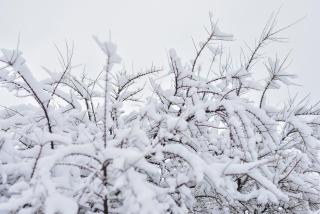 Luna Llena Dina Huapi - 5