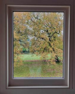 Arnewood Manor - 2