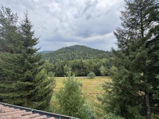 Ramoni Apartments - Bad Wildbad - 3