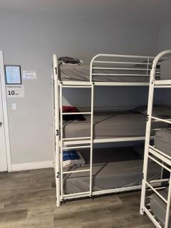 Twin Pineapple Hostel - 6
