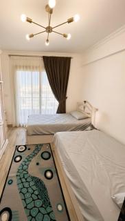 Modern Flat at Shiekh Zayed - 1