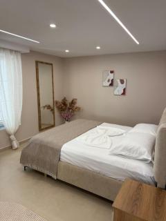 Entire Villa with 2 Apartments, 3 Min to Center - 1