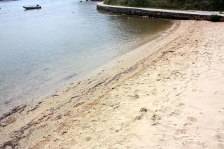 Apartments by the sea Supetarska Draga - Gonar, Rab - 24851 - Supetarska Draga - 5