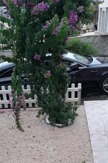 Apartments with parking space Artatore, Losinj - 24890 - 3