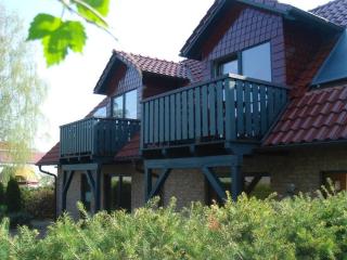 Holiday home in Waren with swimming pool - 4