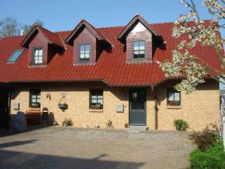 Holiday home in Waren with swimming pool - 9