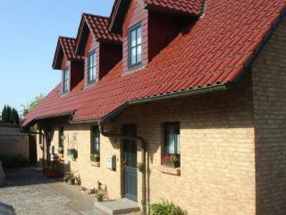 Holiday home in Waren with swimming pool - 8