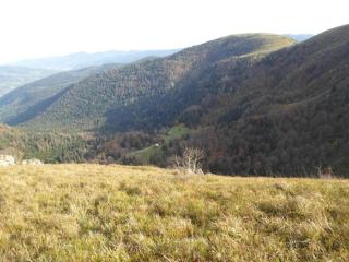 Lakefront Glamping w Pets - 3