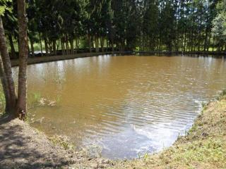 Lakefront Glamping w Pets - 6