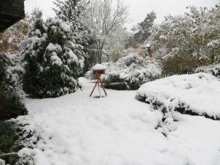 One-bedroom apartment - 7