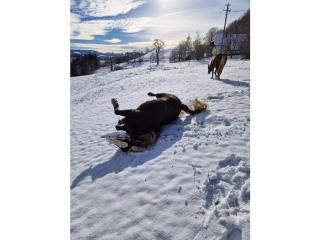 Holiday apartment in St Peter with balcony - 0
