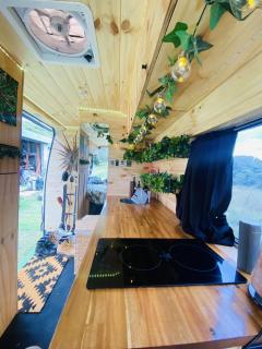 Mr Rainforest the Campervan - 2