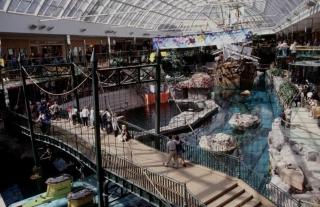 Cozy Suite near West Edmonton Mall - 8