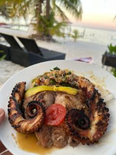 Ocean View PRIVATE BEACH - 4