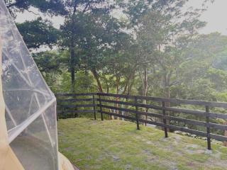 GLAMFOREST Okinawa 名護 - 1