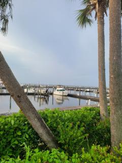 Lake Okechobee Fishing PARADIZE - 7