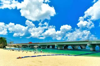 cuculu MAEJIMA 7F - 6