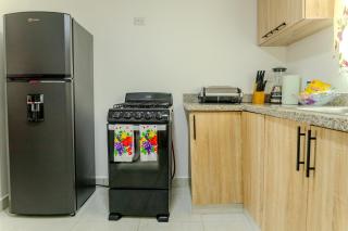 Next to Basilica 2BR terrace wifi Punta Cana 30min - 4
