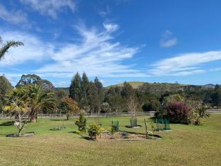 The Shack Mangonui - 2