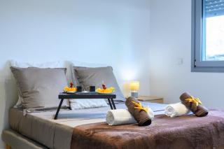 Design apartment close to Schoelcher beach - 2