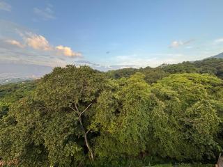 Hotel Monkey House Tuxtla Gutiérrez - 5