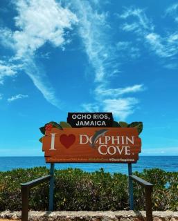 Kiki Modern Haven 2BR Condo with Pool and Ocean View Ocho Rios - 4