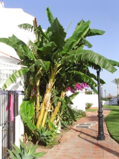 Casa de la Playa - San Luis de Sabinillas - 4