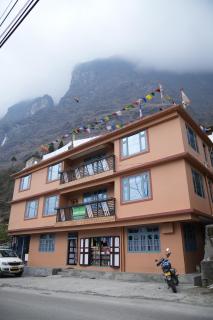 Om Green Tortoise Lachung - 0