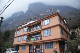 Om Green Tortoise Lachung - 9