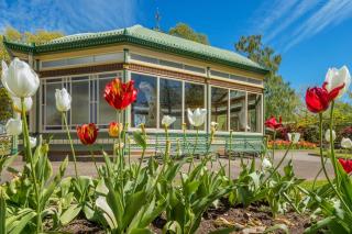 Lakeside Bliss, Perfect Location Guesthouse - 9