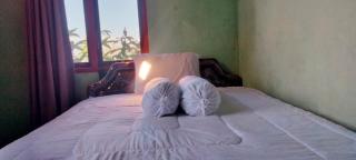 Molas Homestay - 1