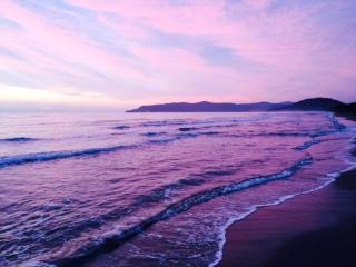 Village Camping Hawaii - 6