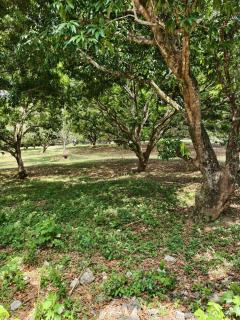 Grand Suite at Mamanorms' Farm - - 1