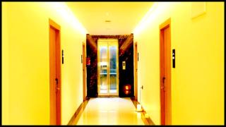 P A R K Guest House ! Premium Rooms With Family Retreat - 5